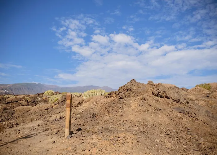 Estella By Vive La Exclusividad