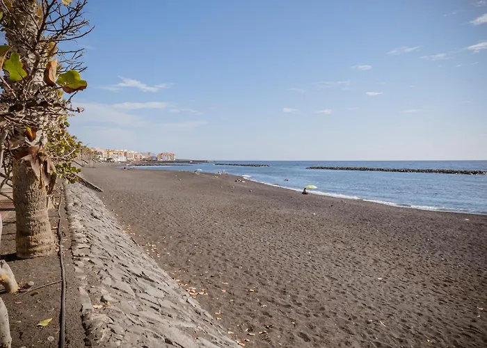 Estella By Vive La Exclusividad