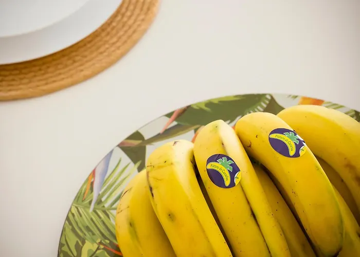 Apartamento Estella By Vive La Exclusividad