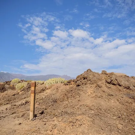 Estella By Vive La Exclusividad