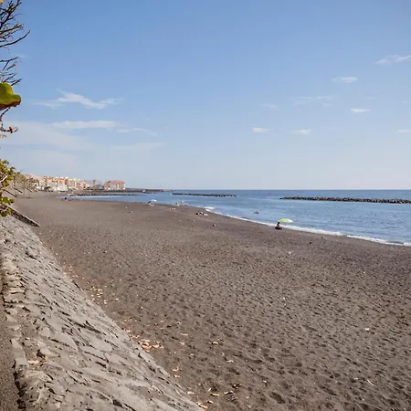 Estella By Vive La Exclusividad